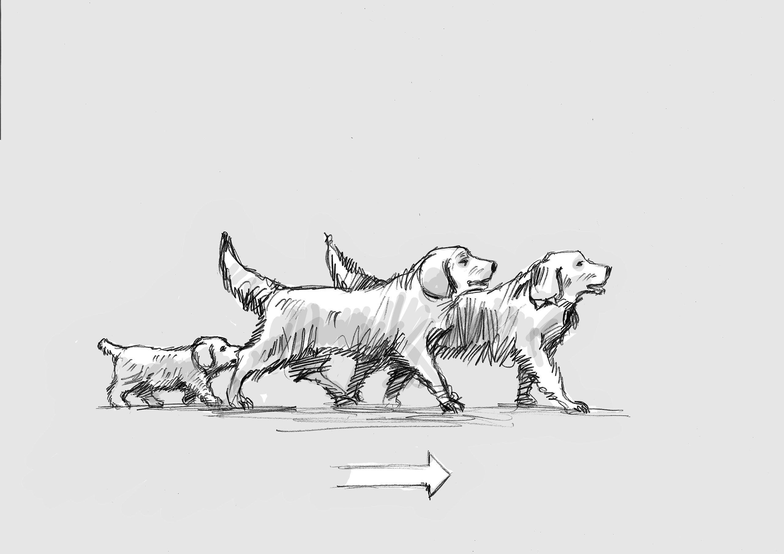 SHOOTING BOARD . AFONSO BELARMINO. ILUSTRADOR